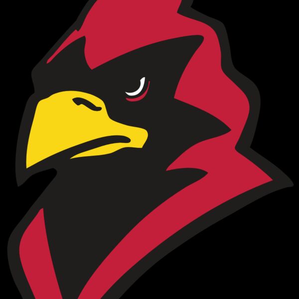 AR CARDINAL 22 RC Thumbnail