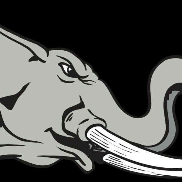 AR ELEPH 16 RC Thumbnail