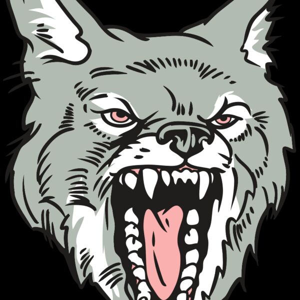 AR32 COYOTE 11 RQC Thumbnail