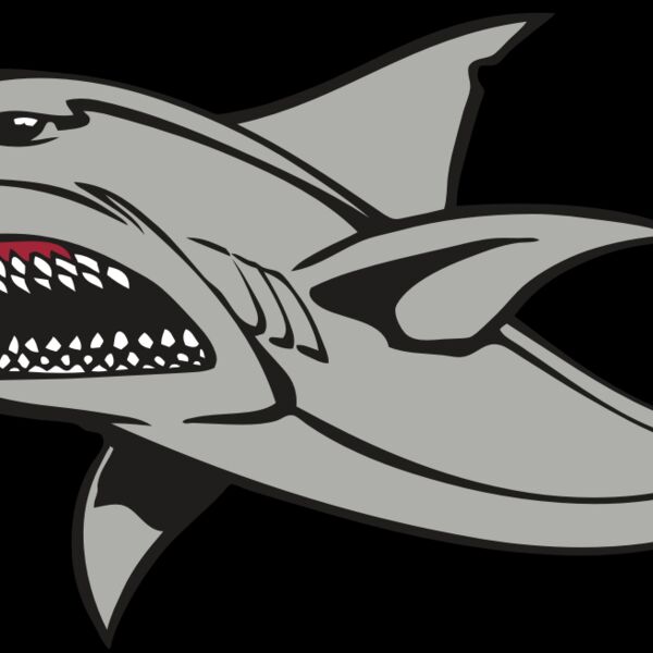 BAW SHARK 03 RC Thumbnail