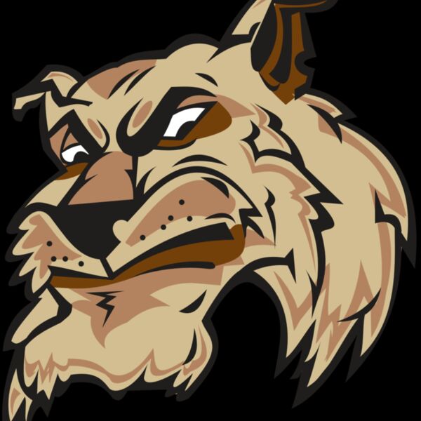 WILDCAT HD0501 RQC Thumbnail