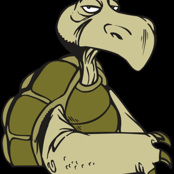 AR5 Turtle 01 RQC Thumbnail